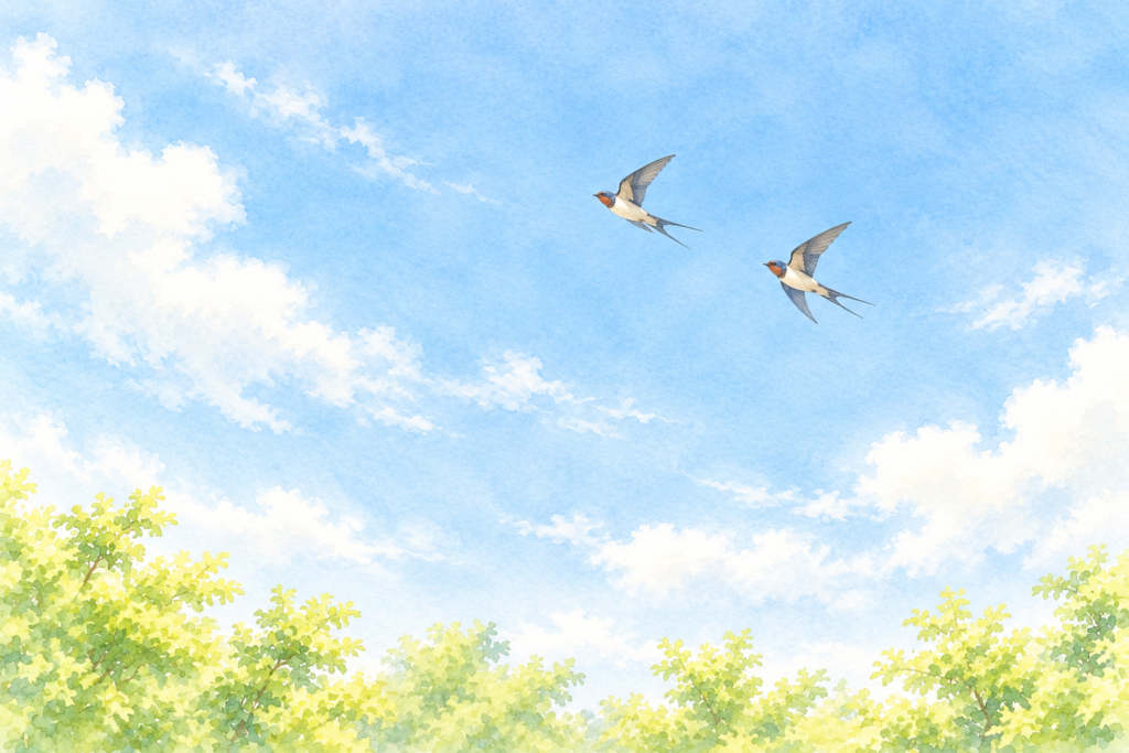 晴れた空を飛ぶ2羽のつばめのイラスト